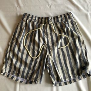 RVCA Mens Striped Board Shorts